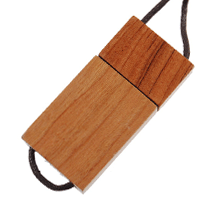 clef usb bois